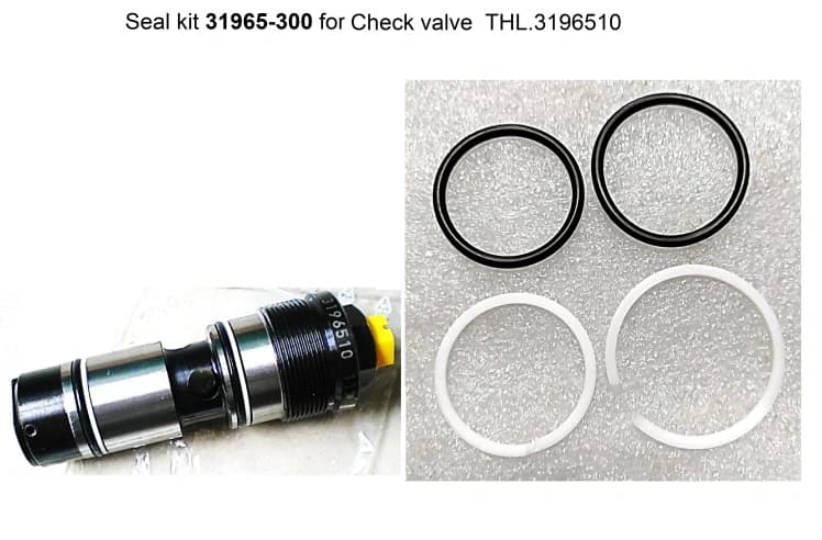 Комплект уплотнений THL 3196530010, для обратного клапана 