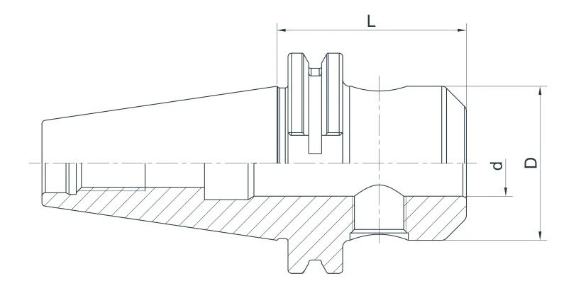Патрон AdvaCut Weldon SK40, отверстие ø6мм, L=100мм; DIN69871; AD; G6,3