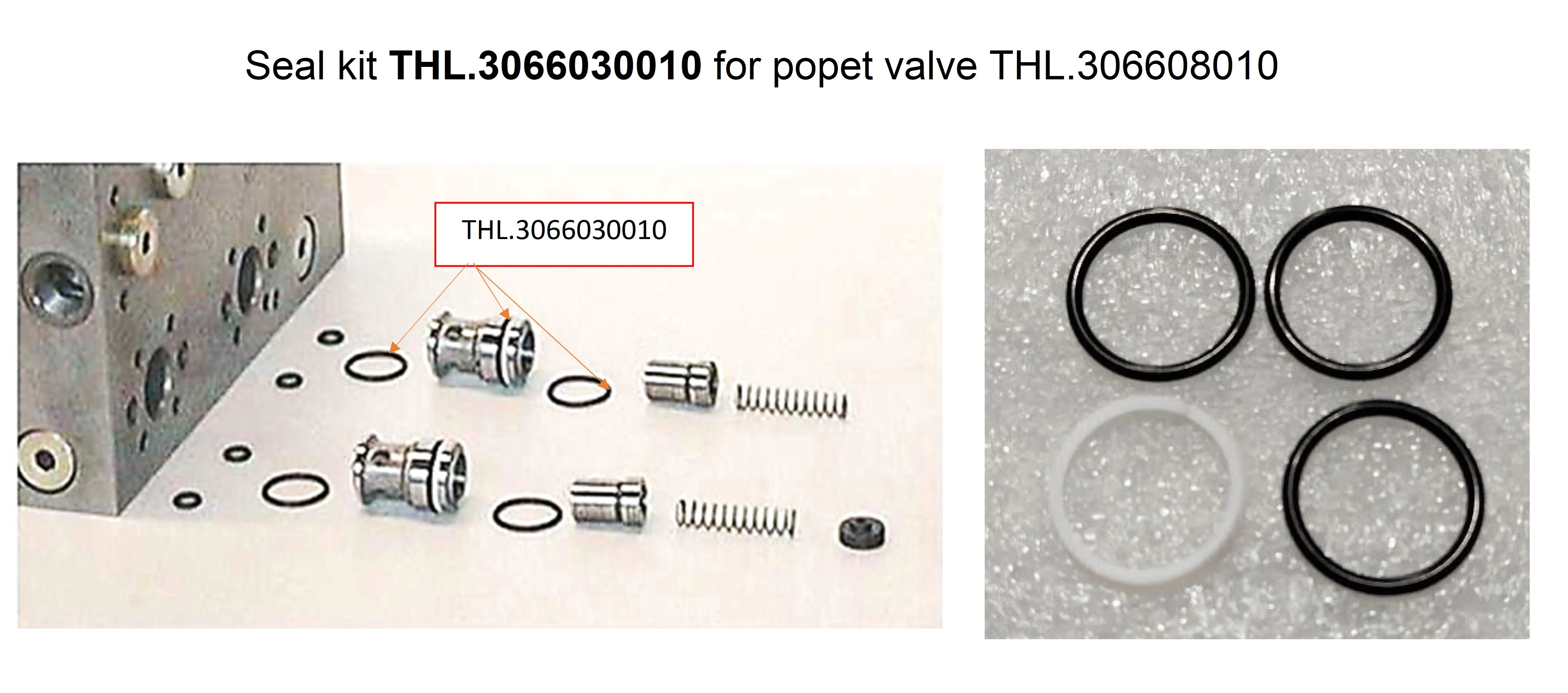 Комплект уплотнений тарельчатого клапана THL.3066030010