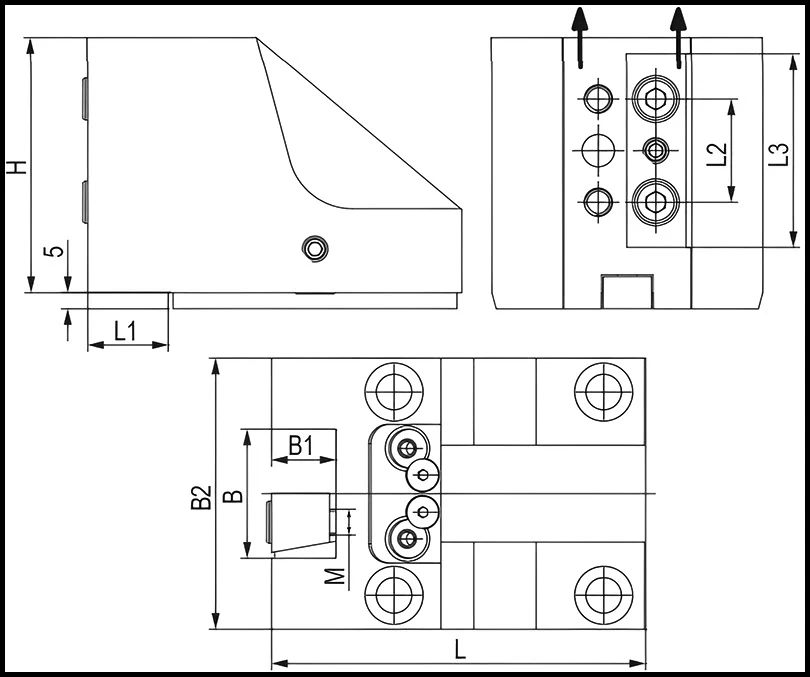 Держатель радиальных резцов 20х20 мм, BMT55 BIGLIA, H=79 мм
