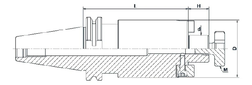 Держатель AdvaCut для торцевых фрез SK50, посадочный ø32мм, L=200мм; DIN69871; AD; G6,3