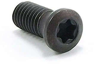 Винт L60M2.5x5-SC