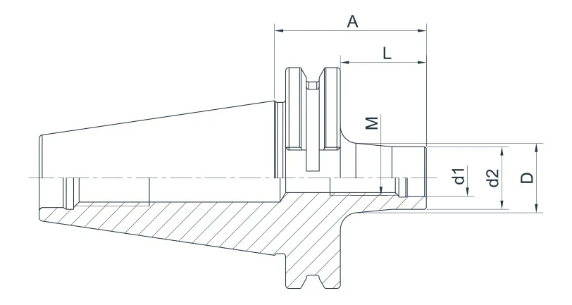 Оправка AdvaCut для сменных фрезерных головок с резьбой SK50, M12, A=169мм, L=150мм; DIN69871; AD; G6,3